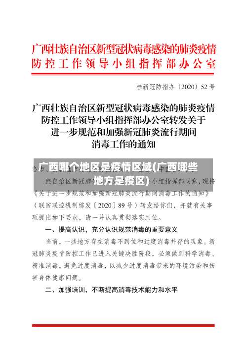 广西哪个地区是疫情区域(广西哪些地方是疫区)-第2张图片