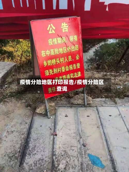疫情分险地区打印报告/疫情分险区查询-第1张图片