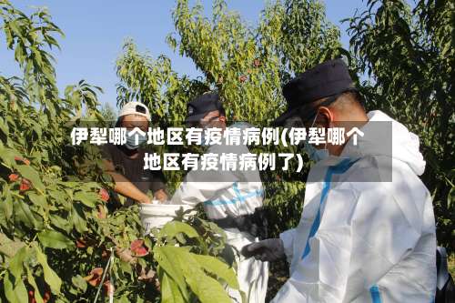 伊犁哪个地区有疫情病例(伊犁哪个地区有疫情病例了)-第2张图片
