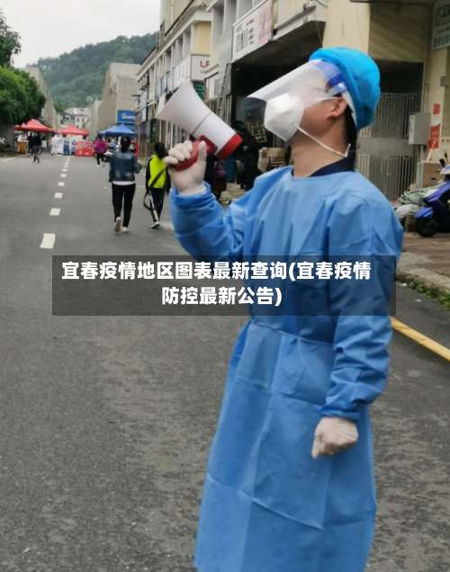宜春疫情地区图表最新查询(宜春疫情防控最新公告)-第2张图片