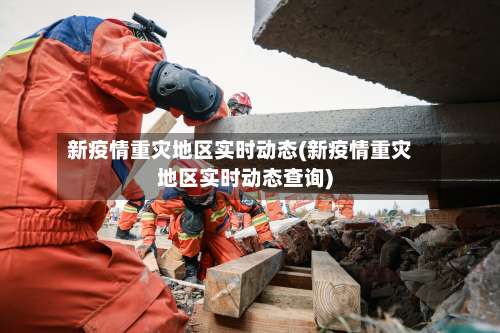 新疫情重灾地区实时动态(新疫情重灾地区实时动态查询)-第1张图片