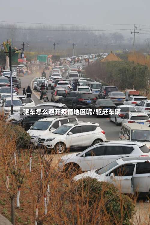 驱车怎么避开疫情地区呢/驱赶车辆-第1张图片