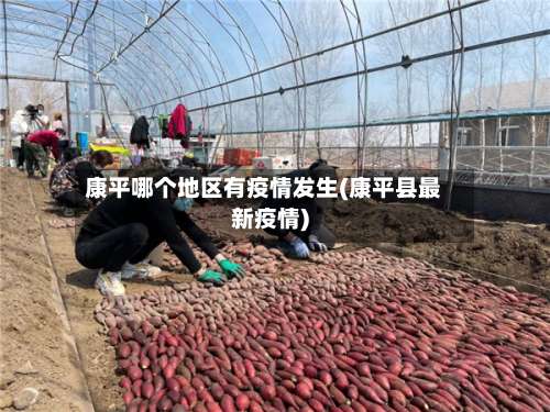 康平哪个地区有疫情发生(康平县最新疫情)-第1张图片