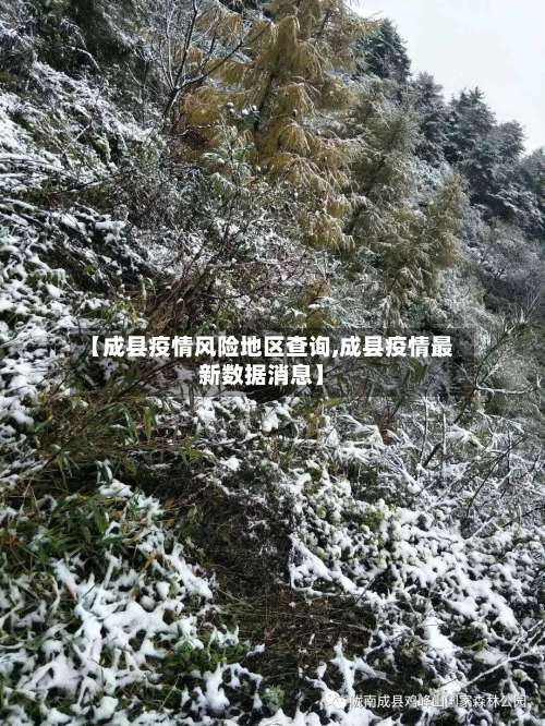【成县疫情风险地区查询,成县疫情最新数据消息】-第1张图片