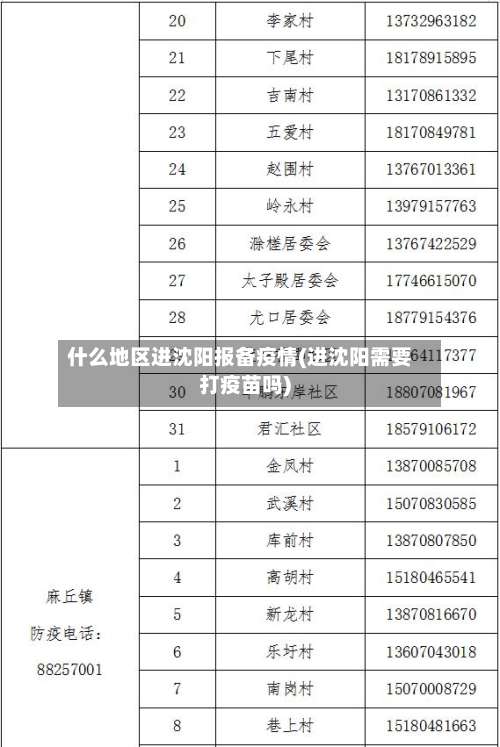 什么地区进沈阳报备疫情(进沈阳需要打疫苗吗)-第2张图片