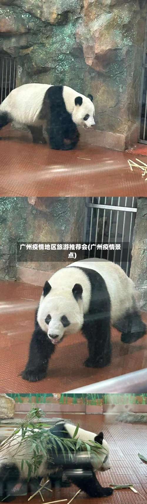 广州疫情地区旅游推荐会(广州疫情景点)-第1张图片