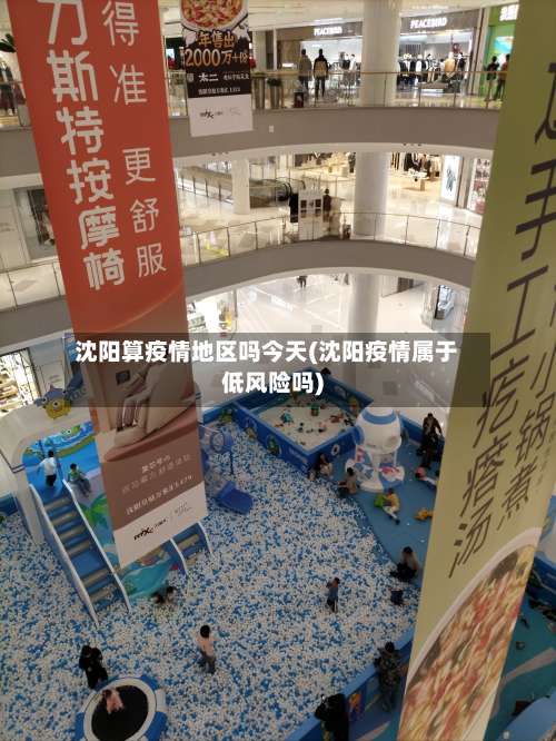 沈阳算疫情地区吗今天(沈阳疫情属于低风险吗)-第2张图片