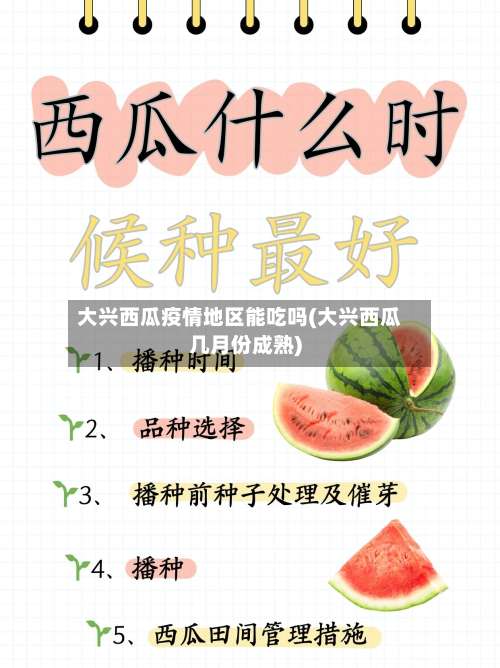 大兴西瓜疫情地区能吃吗(大兴西瓜几月份成熟)-第3张图片