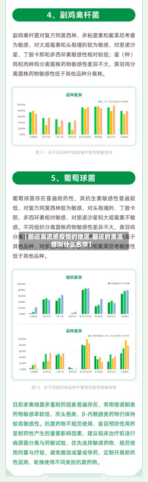 【最近禽流感疫情的地区,最近的禽流感叫什么名字】-第2张图片