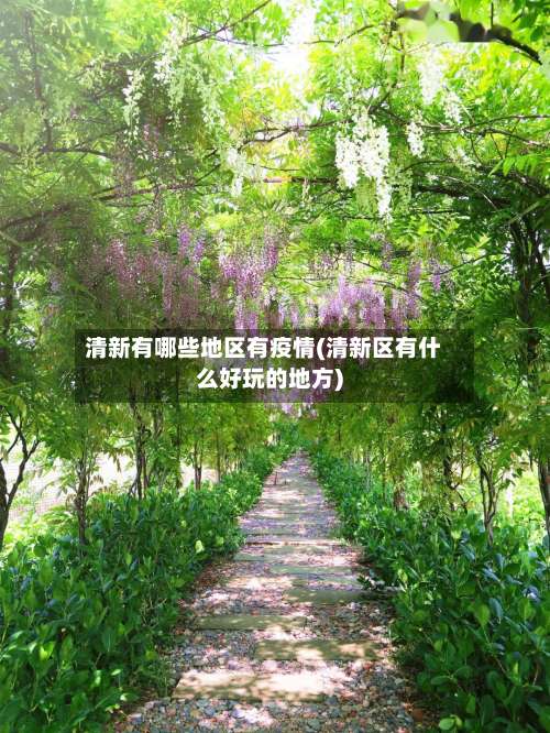 清新有哪些地区有疫情(清新区有什么好玩的地方)-第1张图片