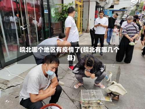 皖北哪个地区有疫情了(皖北有哪几个县)-第1张图片