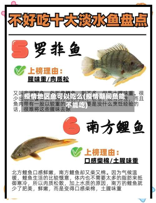 疫情地区鱼可以吃么(疫情期间鱼能不能吃)-第1张图片