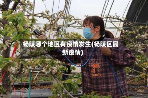 杨陵哪个地区有疫情发生(杨陵区最新疫情)-第2张图片