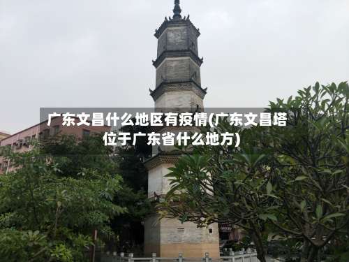 广东文昌什么地区有疫情(广东文昌塔位于广东省什么地方)-第3张图片