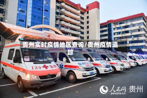 贵州实时疫情地区查询/贵州疫情追踪-第1张图片