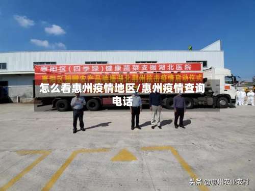 怎么看惠州疫情地区/惠州疫情查询电话-第2张图片