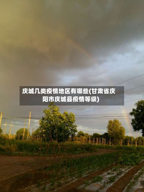 庆城几类疫情地区有哪些(甘肃省庆阳市庆城县疫情等级)-第2张图片