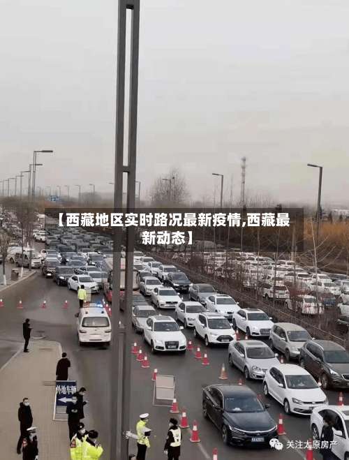 【西藏地区实时路况最新疫情,西藏最新动态】-第2张图片