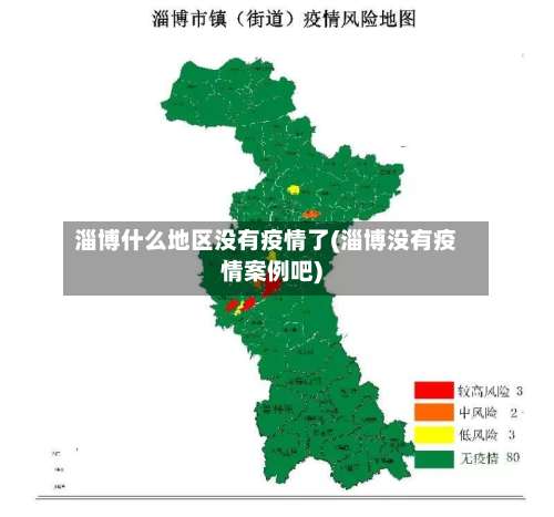 淄博什么地区没有疫情了(淄博没有疫情案例吧)-第2张图片