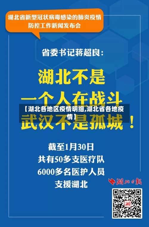 【湖北各地区疫情明细,湖北省各地疫情】-第1张图片