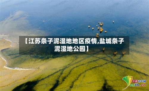 【江苏条子泥湿地地区疫情,盐城条子泥湿地公园】-第3张图片