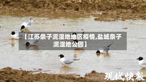 【江苏条子泥湿地地区疫情,盐城条子泥湿地公园】-第1张图片