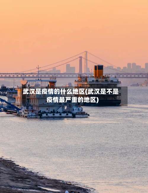 武汉是疫情的什么地区(武汉是不是疫情最严重的地区)-第2张图片