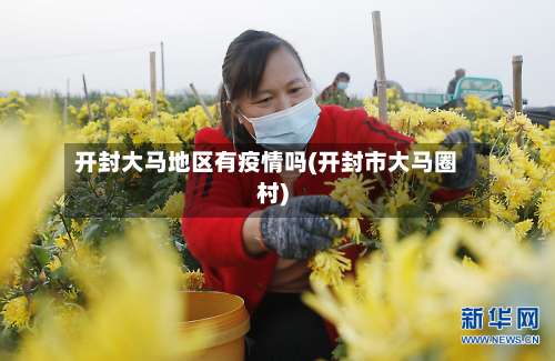 开封大马地区有疫情吗(开封市大马圈村)-第2张图片
