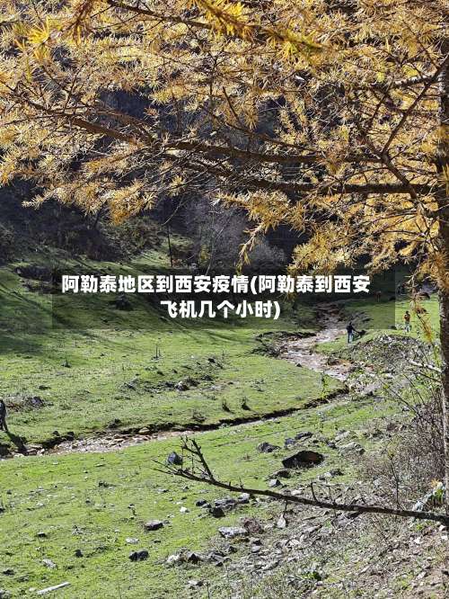 阿勒泰地区到西安疫情(阿勒泰到西安飞机几个小时)-第2张图片