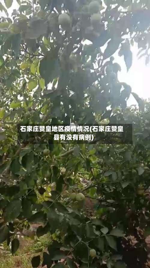 石家庄赞皇地区疫情情况(石家庄赞皇县有没有病例)-第3张图片
