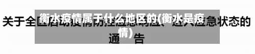 衡水疫情属于什么地区的(衡水是疫情)-第1张图片