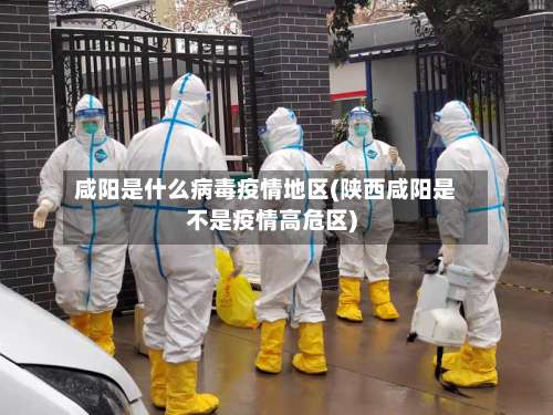 咸阳是什么病毒疫情地区(陕西咸阳是不是疫情高危区)-第1张图片