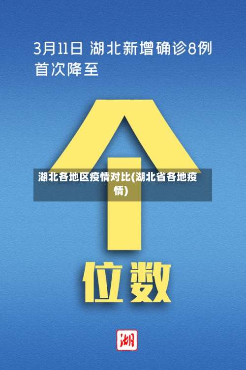 湖北各地区疫情对比(湖北省各地疫情)-第1张图片