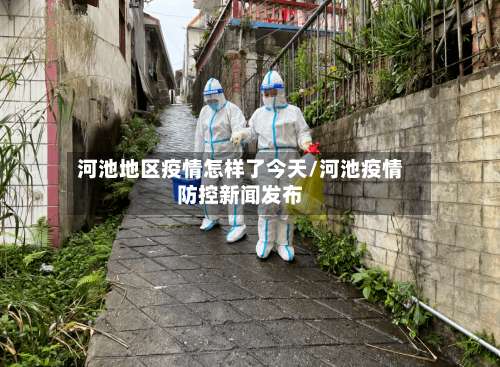 河池地区疫情怎样了今天/河池疫情防控新闻发布-第2张图片