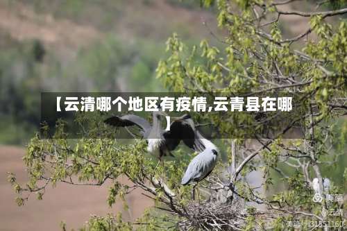 【云清哪个地区有疫情,云青县在哪】-第1张图片