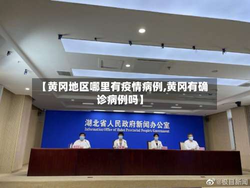 【黄冈地区哪里有疫情病例,黄冈有确诊病例吗】-第2张图片