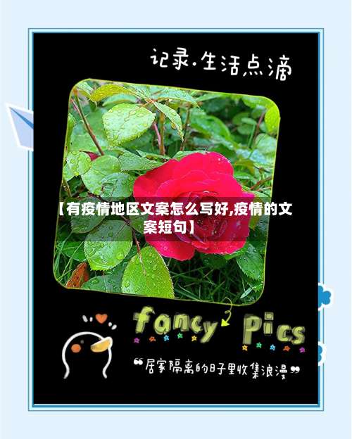 【有疫情地区文案怎么写好,疫情的文案短句】-第2张图片