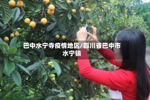 巴中水宁寺疫情地区/四川省巴中市水宁镇-第3张图片