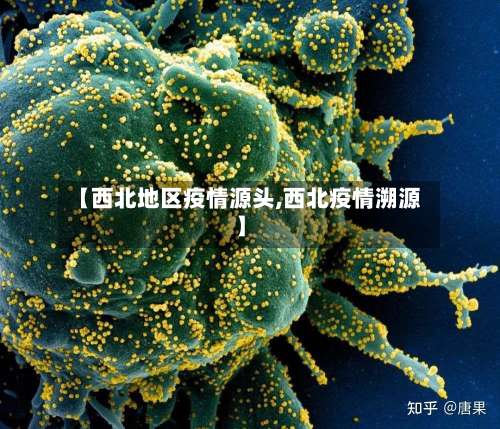 【西北地区疫情源头,西北疫情溯源】-第1张图片