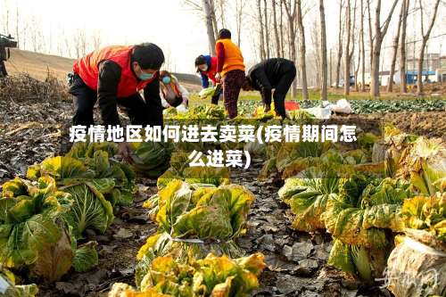 疫情地区如何进去卖菜(疫情期间怎么进菜)-第1张图片