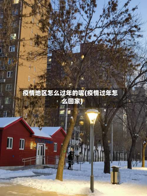 疫情地区怎么过年的呢(疫情过年怎么回家)-第1张图片