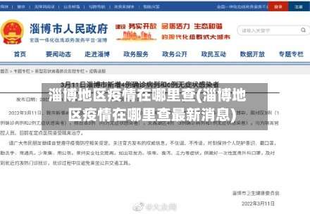 淄博地区疫情在哪里查(淄博地区疫情在哪里查最新消息)-第1张图片