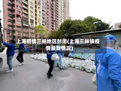 上海疫情三林地区封闭(上海三林镇疫情最新情况)-第2张图片