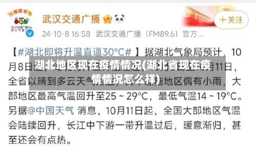湖北地区现在疫情情况(湖北省现在疫情情况怎么样)-第3张图片