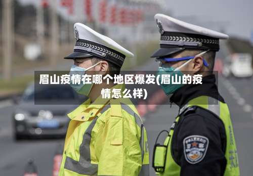眉山疫情在哪个地区爆发(眉山的疫情怎么样)-第2张图片