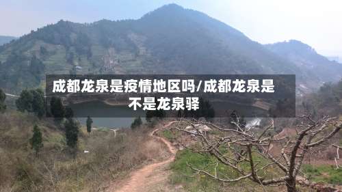 成都龙泉是疫情地区吗/成都龙泉是不是龙泉驿-第1张图片