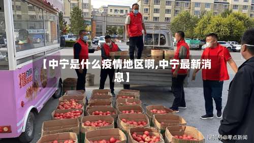 【中宁是什么疫情地区啊,中宁最新消息】-第1张图片