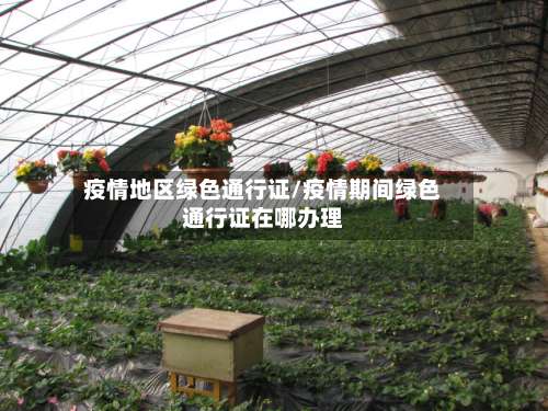 疫情地区绿色通行证/疫情期间绿色通行证在哪办理-第1张图片