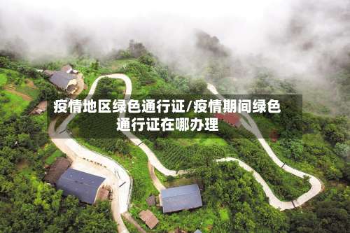 疫情地区绿色通行证/疫情期间绿色通行证在哪办理-第2张图片