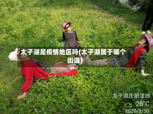 太子湖是疫情地区吗(太子湖属于哪个街道)-第3张图片